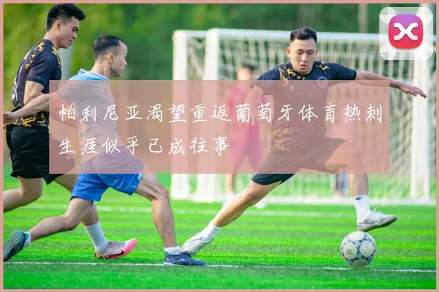 帕利尼亚渴望重返葡萄牙体育热刺生涯似乎已成往事